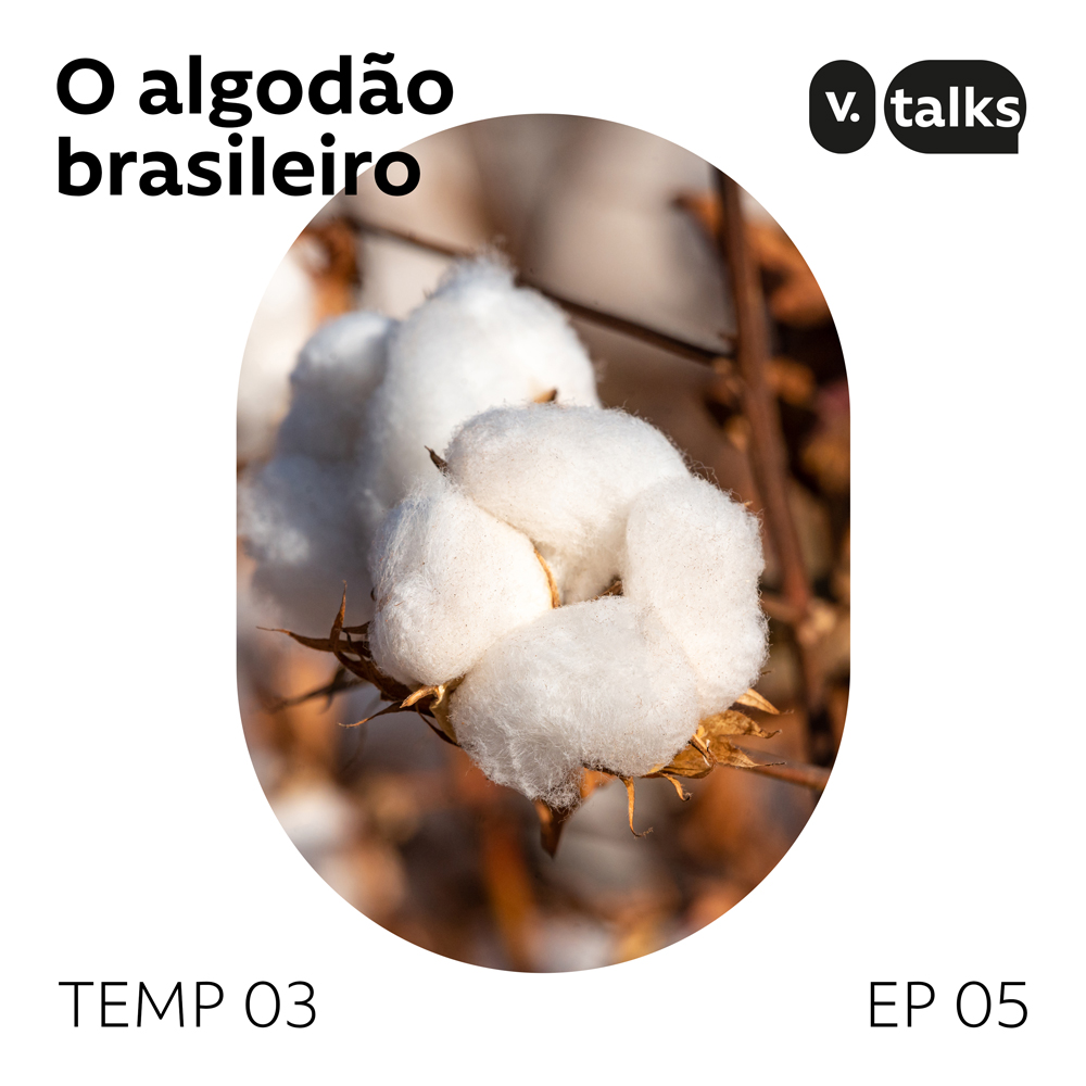 O algodão brasileiro